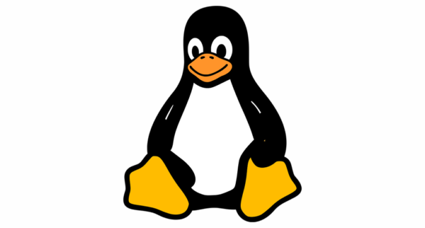 Linux Server Hata giderme Hizmeti